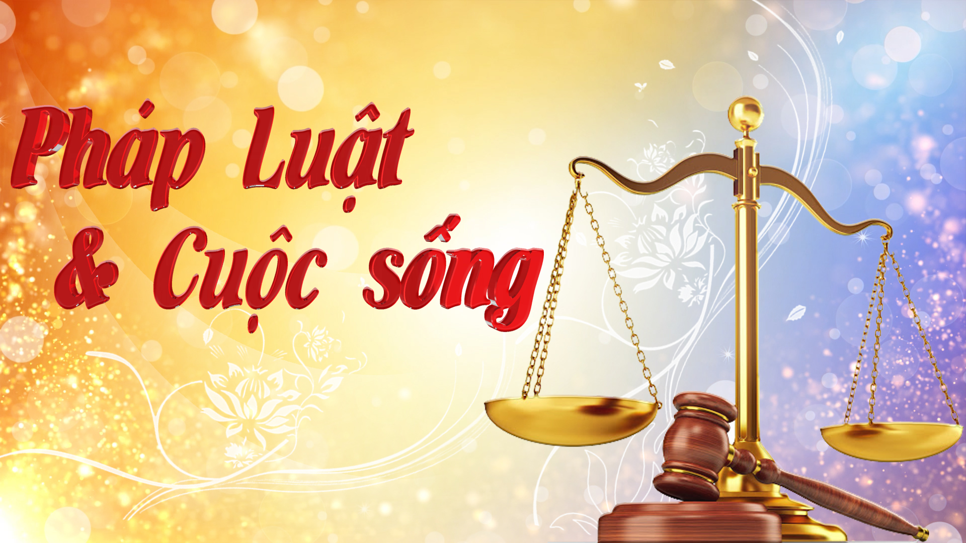Pháp luật và cuộc sống (0342021) – Đài Phát thanh và Truyền hình Kiên  Giang